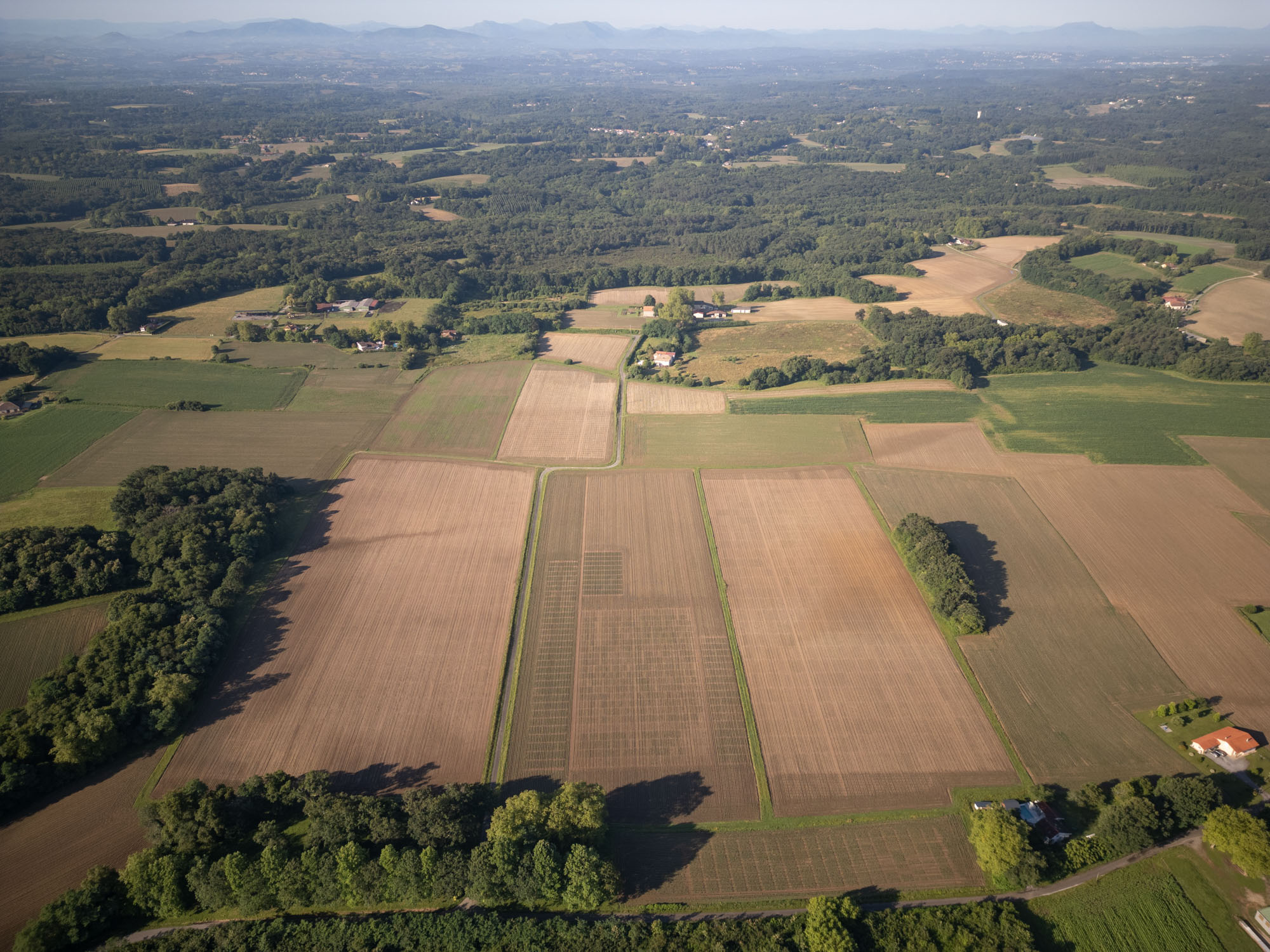 paysage parcelles ue mais