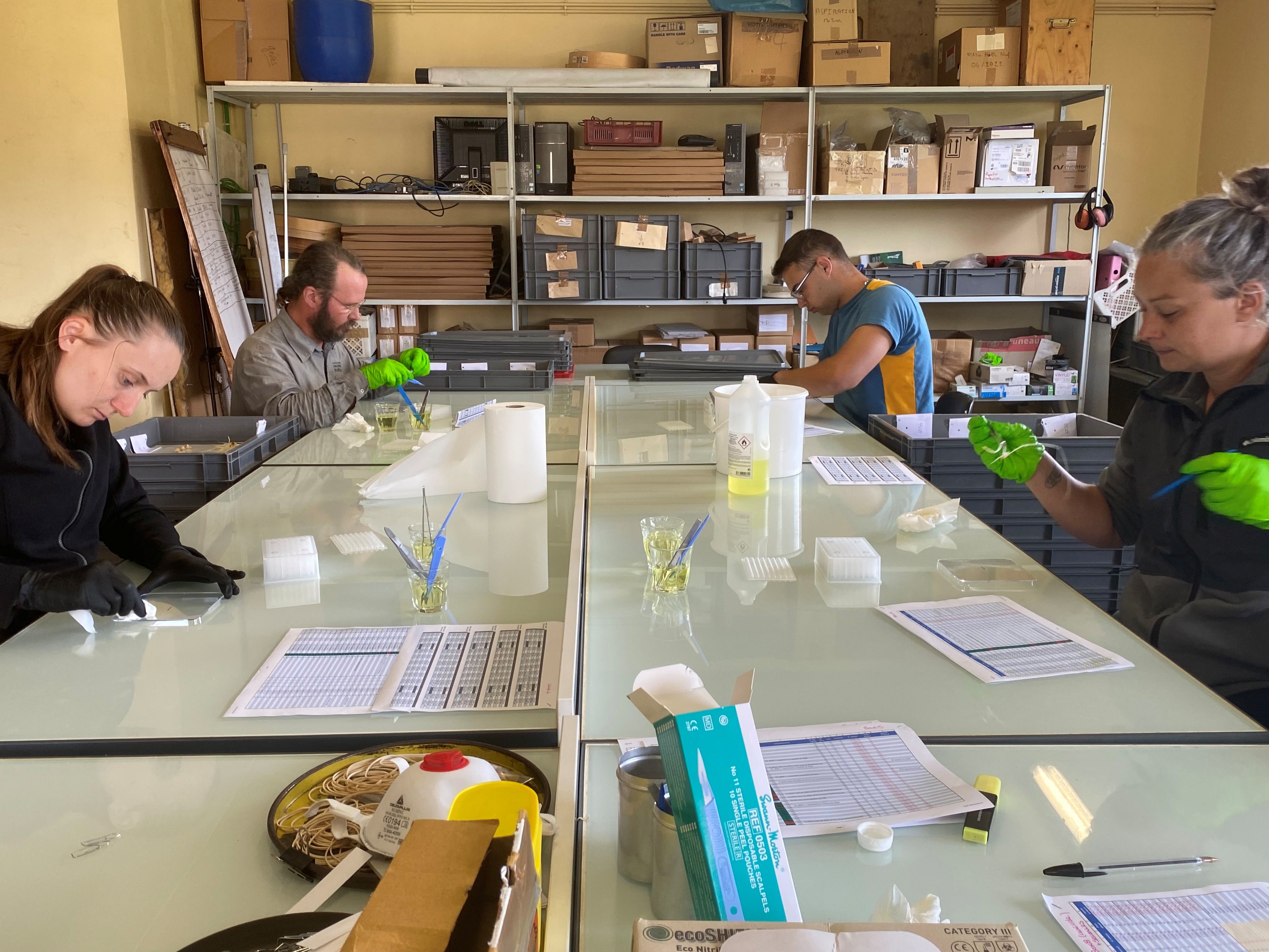 Prel germe agrodiv genotypage gpe 1 salle travail.jpg