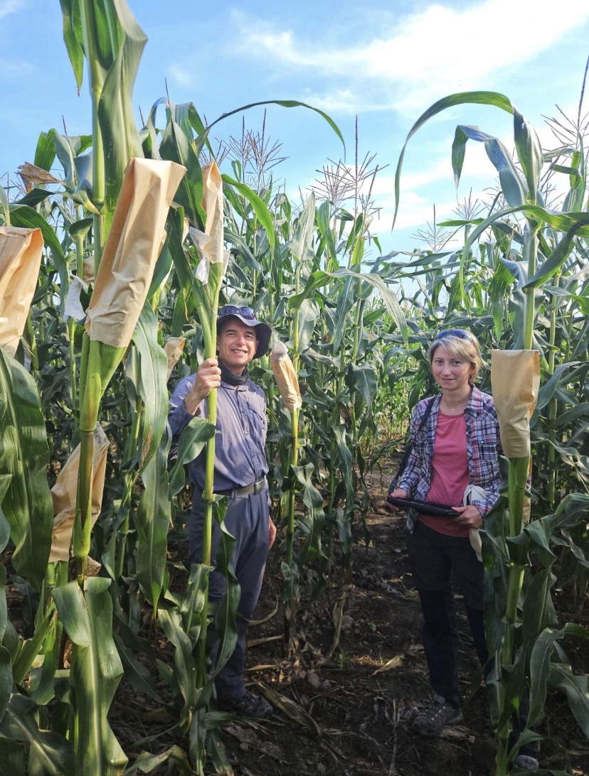 carine cyril mexique 26