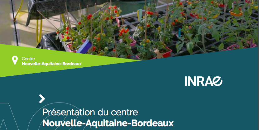 1 page plaquette centre Brdx 2024