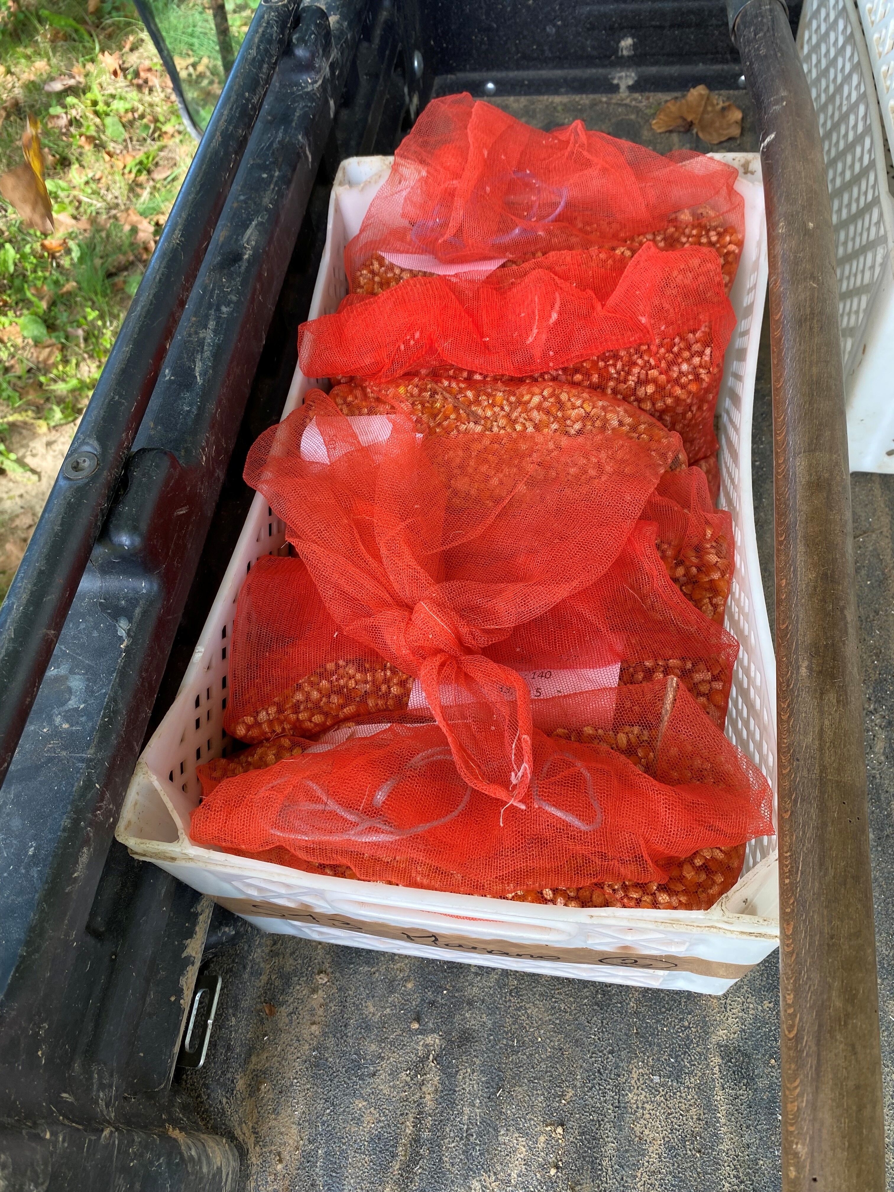 filet grains récoltés filet grains récoltés