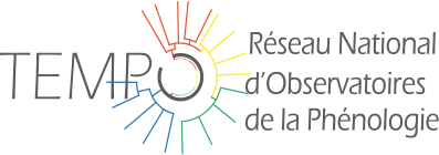 LOGO TEMPO