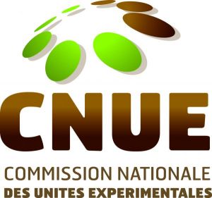 LOGO CNUE