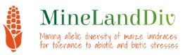 logo minelanddiv