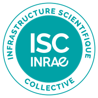 Label-ISC-[Couleur--Transparent].png